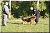 DSC00453.JPG