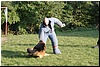 DSC00462.JPG