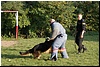 DSC00463.JPG