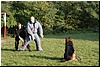 DSC00471.JPG