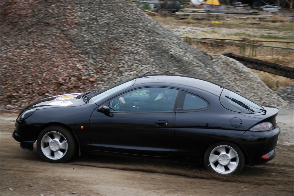 ppaik1 300.jpg