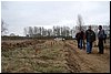 DSC_8524.JPG