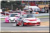 DSC_9491.JPG