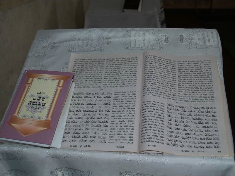 msw_P4194297.JPG