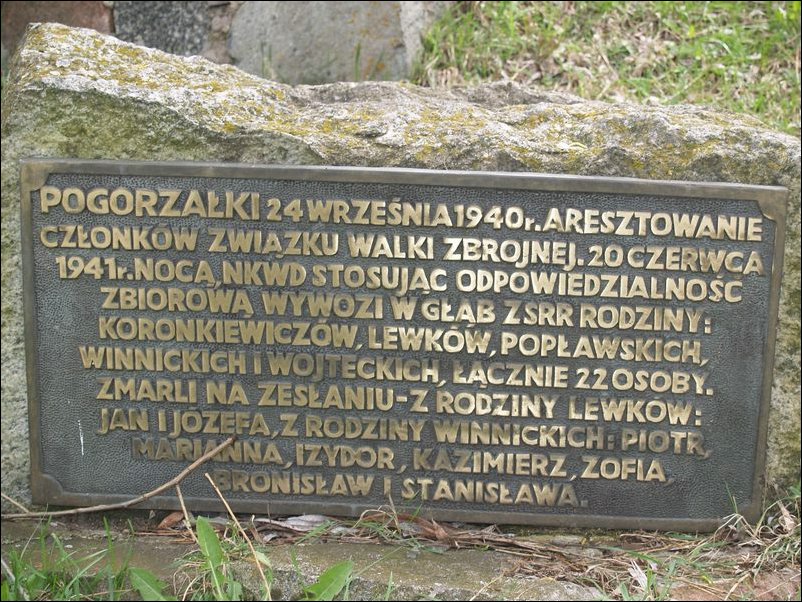 msw_P4194320.JPG
