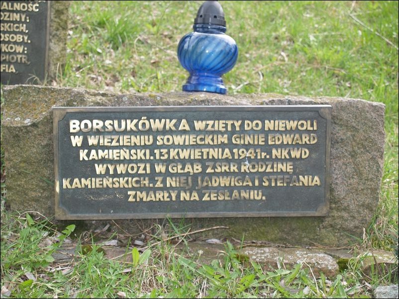 msw_P4194321.JPG