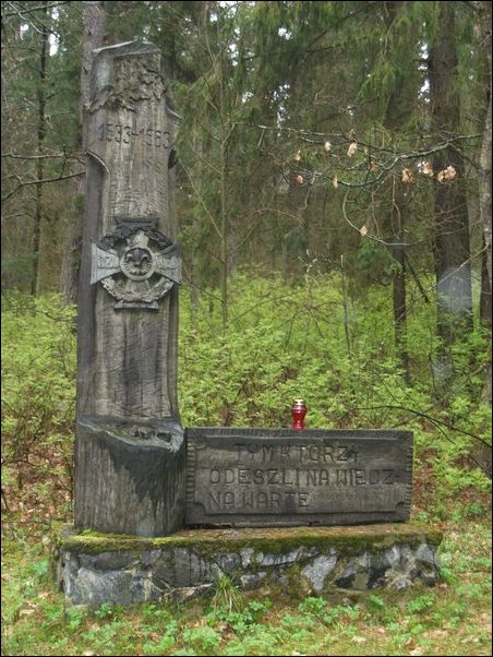 msw_P4194361.JPG