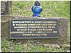 msw_P4194321.JPG