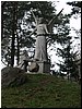 msw_P4194348.JPG
