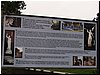 msw_P4194349.JPG