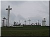 msw_P4194350.JPG