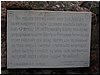 msw_P4194353.JPG