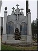 msw_P4194355.JPG