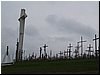 msw_P4194357.JPG