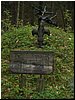 msw_P4194360.JPG
