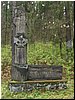 msw_P4194361.JPG