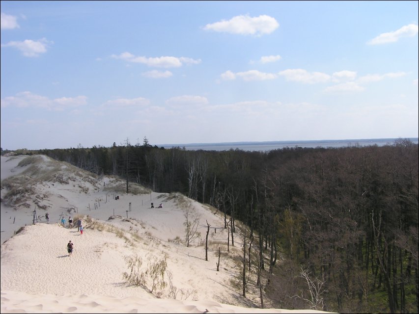 P1010068.JPG
