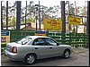P5094699.jpg