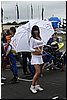 SUZUKI 006.jpg