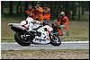 SUZUKI 078.jpg