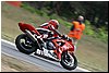 SUZUKI 116.jpg