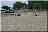 zWMMP 041.jpg