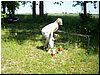 IMG_0018.JPG