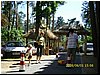 IMG_0048.JPG