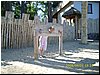 IMG_0062.JPG