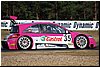 DSC_7457.JPG