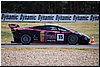 DSC_8374.JPG