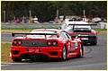IMF_8980.jpg