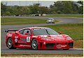 IMG_3298.jpg