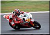 DSC_1737.JPG