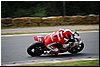 DSC_1875.JPG
