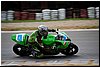 DSC_1897.JPG