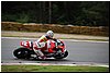 DSC_1916.JPG