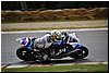 DSC_1917.JPG