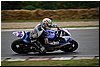 DSC_1931.JPG