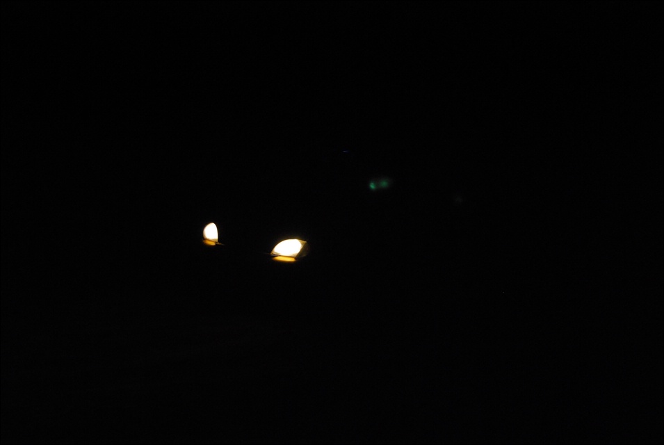 DSC_6663.JPG