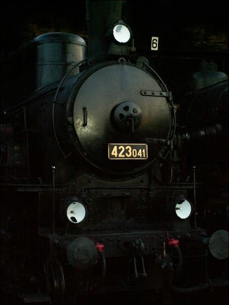 wolsztyn_noc_08.JPG