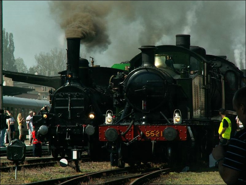 wolsztyn_xdzien_040.JPG