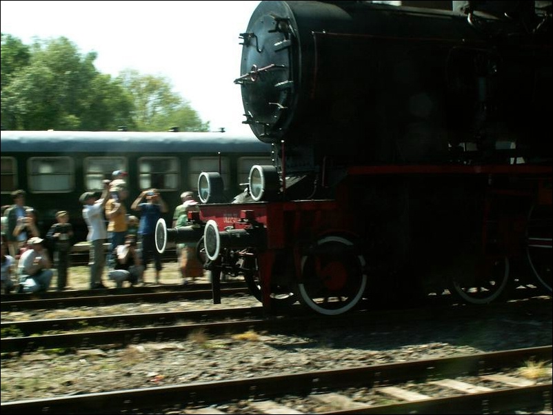 wolsztyn_xdzien_046.JPG