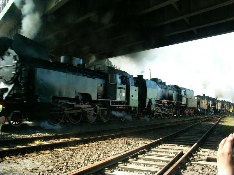 wolsztyn_xdzien_062.JPG