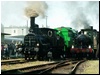 wolsztyn_xdzien_037.JPG
