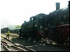 wolsztyn_xdzien_053.JPG