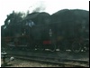 wolsztyn_xdzien_055.JPG
