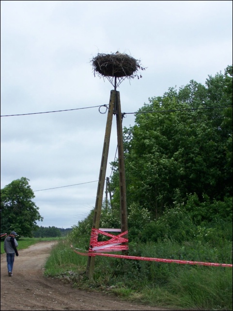 100_5534.JPG