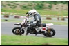DSC_5397.JPG
