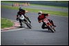 DSC_5551.JPG